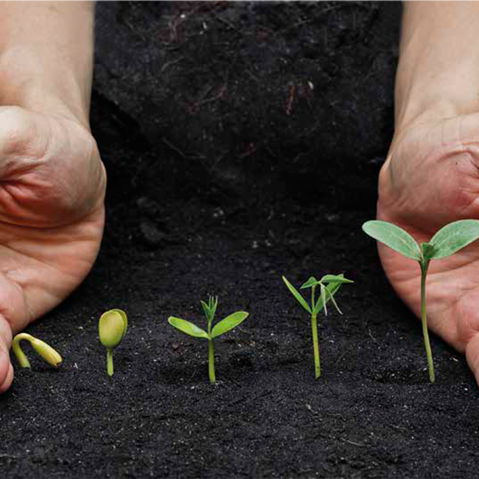 Folyékony műtrágya kijuttatás munkagéppel