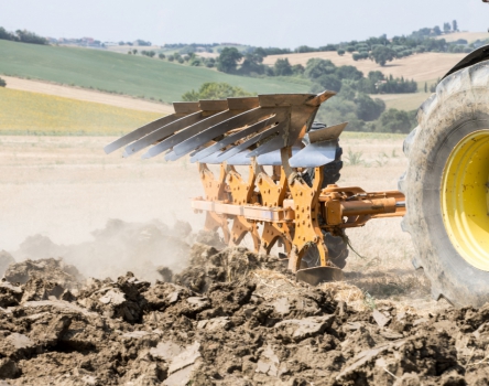 Moro Aratri Raptor ekecsalád